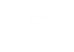 MVSG-Partners-IQV
